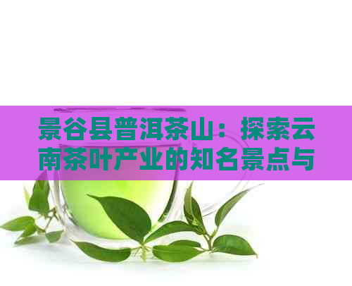 景谷县普洱茶山：探索云南茶叶产业的知名景点与文化背景