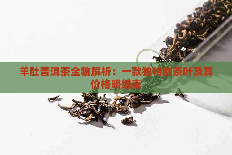 羊肚普洱茶全貌解析：一款独特的茶叶及其价格明细表