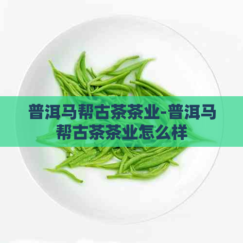 普洱马帮古茶茶业-普洱马帮古茶茶业怎么样