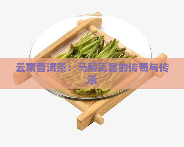 云南普洱茶：马帮贡品的传奇与传承