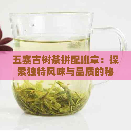 五寨古树茶拼配班章：探索独特风味与品质的秘密