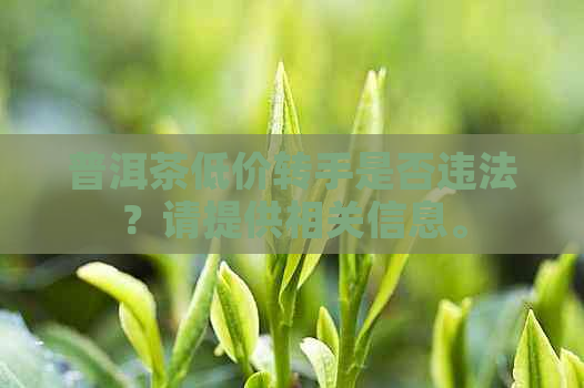 普洱茶低价转手是否违法？请提供相关信息。