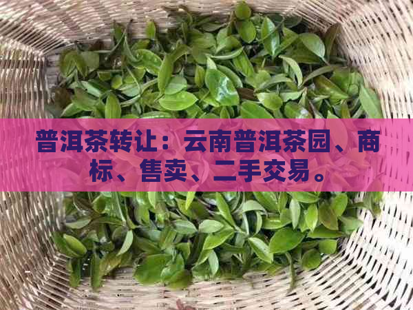 普洱茶转让：云南普洱茶园、商标、售卖、二手交易。