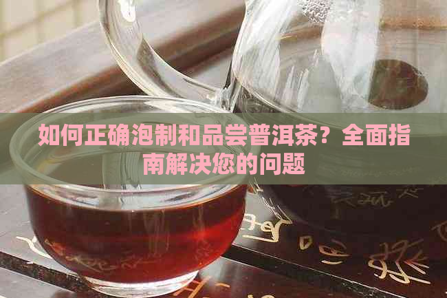 如何正确泡制和品尝普洱茶？全面指南解决您的问题