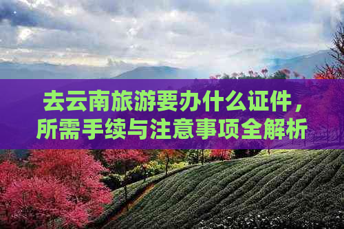 去云南旅游要办什么证件，所需手续与注意事项全解析