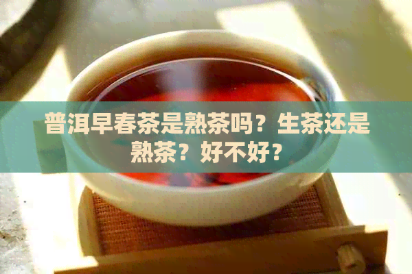 普洱早春茶是熟茶吗？生茶还是熟茶？好不好？