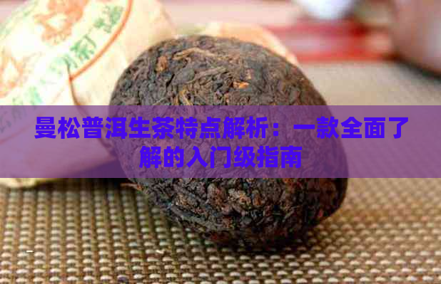 曼松普洱生茶特点解析：一款全面了解的入门级指南