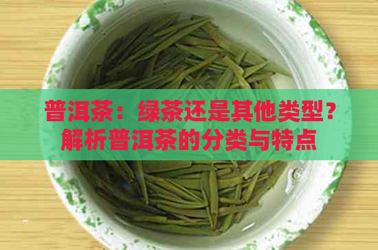 普洱茶：绿茶还是其他类型？解析普洱茶的分类与特点