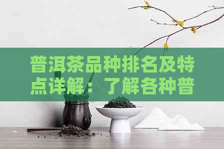 普洱茶品种排名及特点详解：了解各种普洱茶的品质和口感