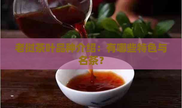 老挝茶叶品种介绍：有哪些特色与名茶？