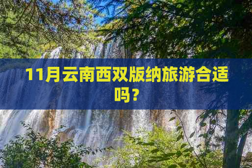 11月云南西双版纳旅游合适吗？