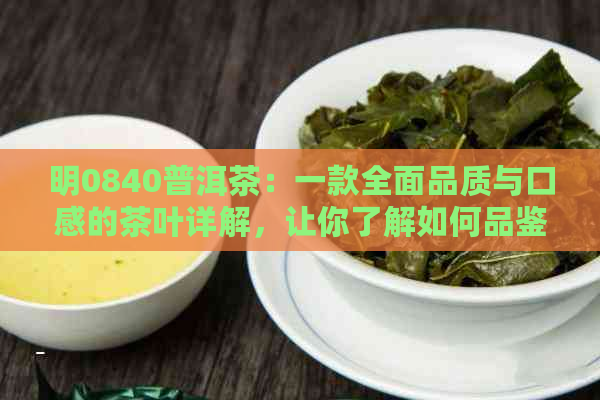 明0840普洱茶：一款全面品质与口感的茶叶详解，让你了解如何品鉴和冲泡