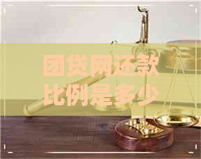 团贷网还款比例是多少