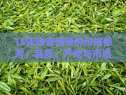 15年陈普洱茶的价格参考：品质、产地与市场分析