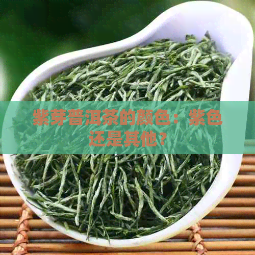 紫芽普洱茶的颜色：紫色还是其他？