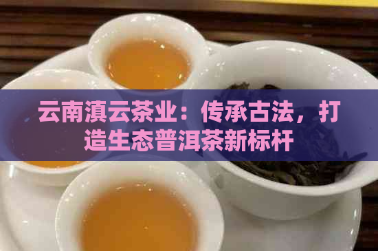 云南滇云茶业：传承古法，打造生态普洱茶新标杆