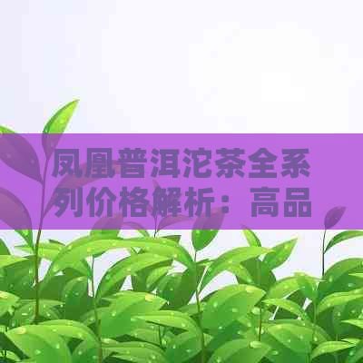 凤凰普洱沱茶全系列价格解析：高品质茶叶性价比之选