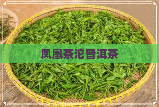 凤凰茶沱普洱茶