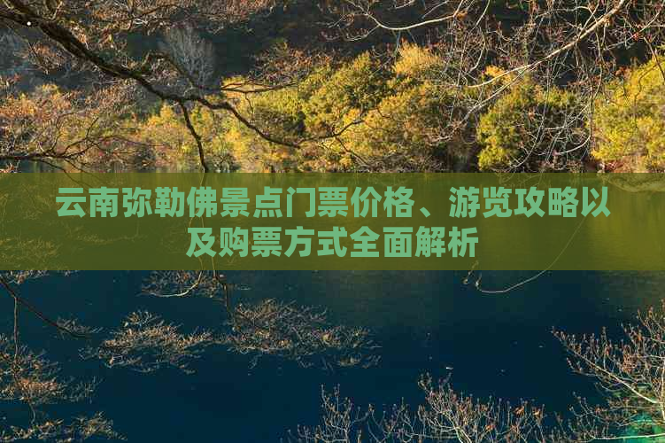 云南弥勒佛景点门票价格、游览攻略以及购票方式全面解析