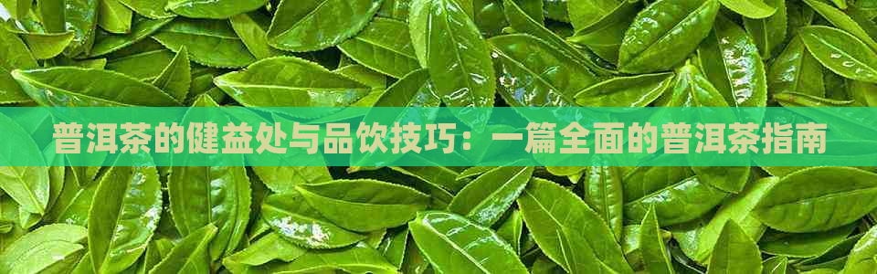 普洱茶的健益处与品饮技巧：一篇全面的普洱茶指南