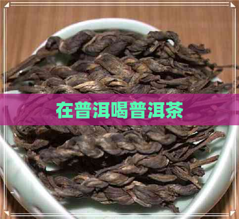 在普洱喝普洱茶