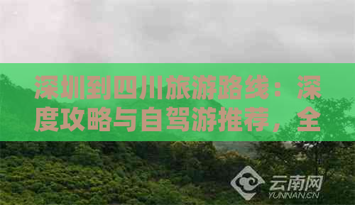 深圳到四川旅游路线：深度攻略与自驾游推荐，全程公里数解析