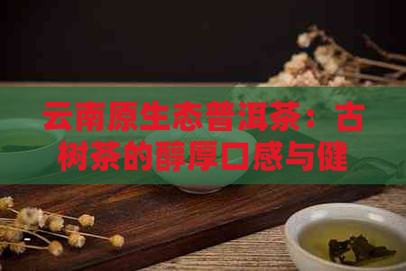 云南原生态普洱茶：古树茶的醇厚口感与健益处