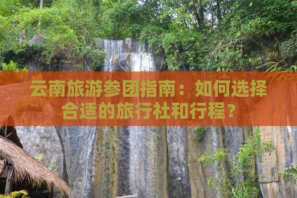 云南旅游参团指南：如何选择合适的旅行社和行程？