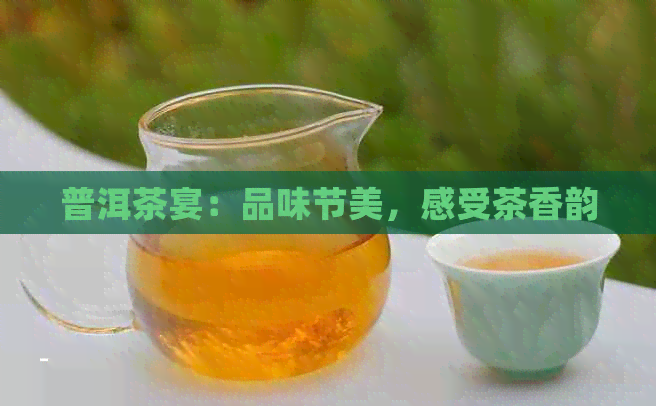 普洱茶宴：品味节美，感受茶香韵