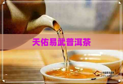 天佑易武普洱茶