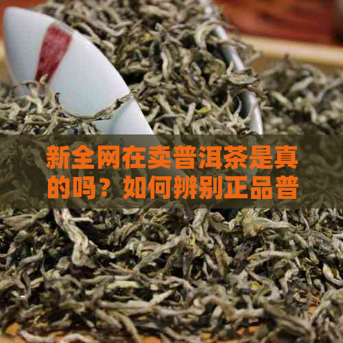 新全网在卖普洱茶是真的吗？如何辨别正品普洱茶及购买渠道指南