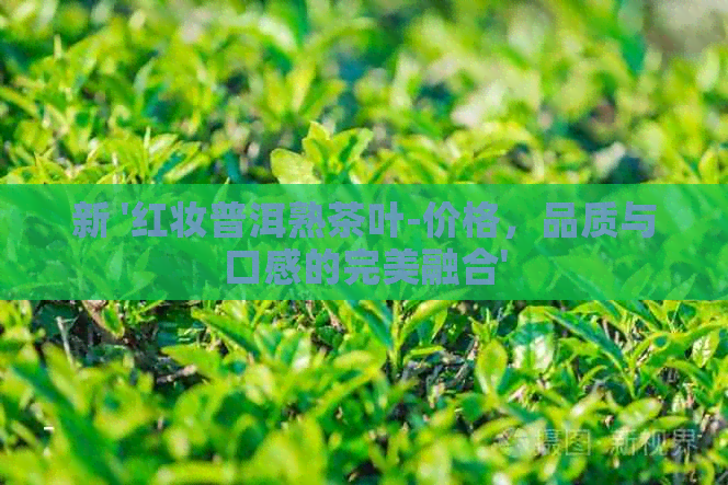 新 '红妆普洱熟茶叶-价格，品质与口感的完美融合'