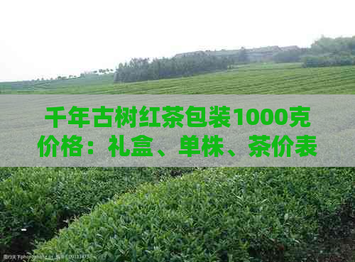 千年古树红茶包装1000克价格：礼盒、单株、茶价表，尽在此处！