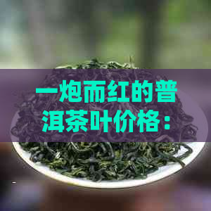 一炮而红的普洱茶叶价格：如何在找到优质货源？