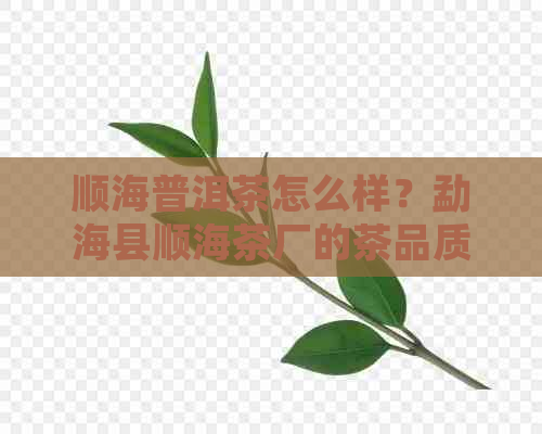 顺海普洱茶怎么样？勐海县顺海茶厂的茶品质优良，价格实。