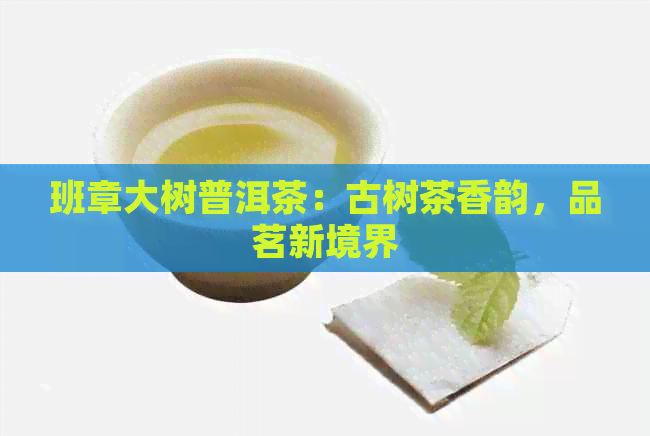 班章大树普洱茶：古树茶香韵，品茗新境界