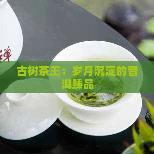 古树茶王：岁月沉淀的普洱臻品