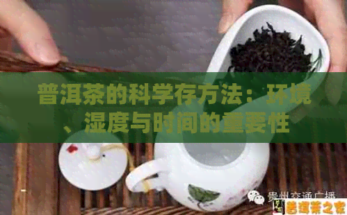 普洱茶的科学存方法：环境、湿度与时间的重要性