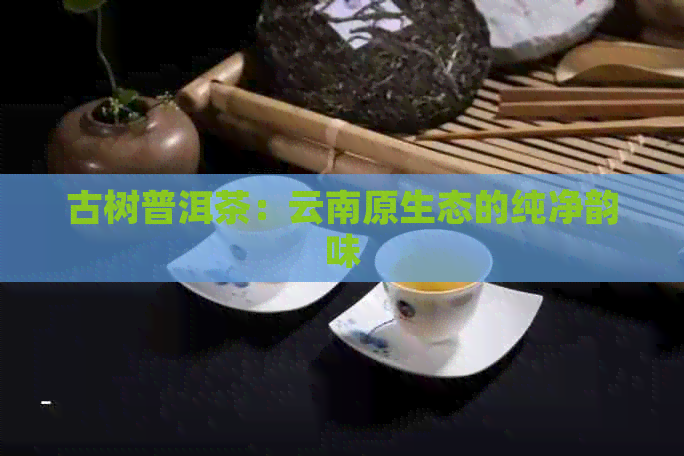 古树普洱茶：云南原生态的纯净韵味