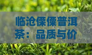 临沧傈僳普洱茶：品质与价格一览表，让你轻松挑选最合适的茶叶