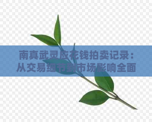 南真武灵应花钱拍卖记录：从交易细节到市场影响全面解析