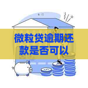 微粒贷逾期还款是否可以使用零钱进行支付？扣款方式合法吗？了解详细情况