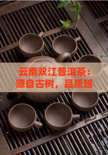 云南双江普洱茶：源自古树，品质越，茶马古道的传承与创新