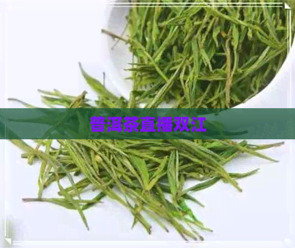 普洱茶直播双江