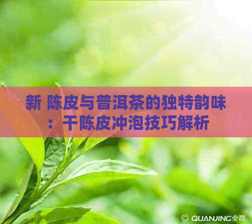 新 陈皮与普洱茶的独特韵味：干陈皮冲泡技巧解析