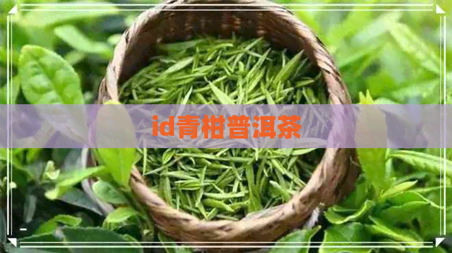 id青柑普洱茶