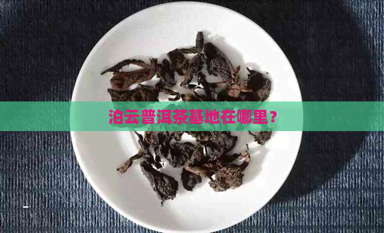 泊云普洱茶基地在哪里？