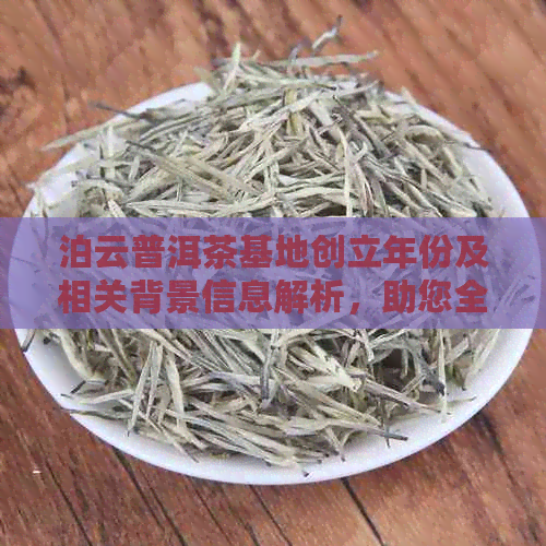 泊云普洱茶基地创立年份及相关背景信息解析，助您全面了解该茶叶产区