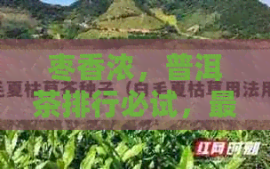 枣香浓，普洱茶排行必试，最新榜单揭秘