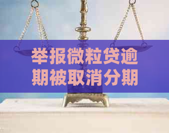 举报微粒贷逾期被取消分期怎么办？高额罚息是否支持？